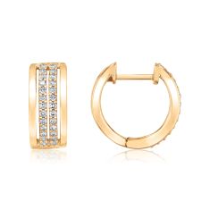 1/4ctw Diamond 10k Yellow Gold Double Row Hoop Earrings