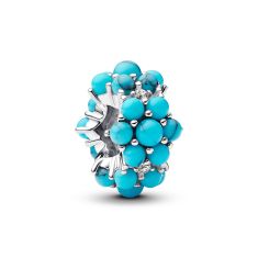 Pandora Turquoise-Colored Ocean Charm